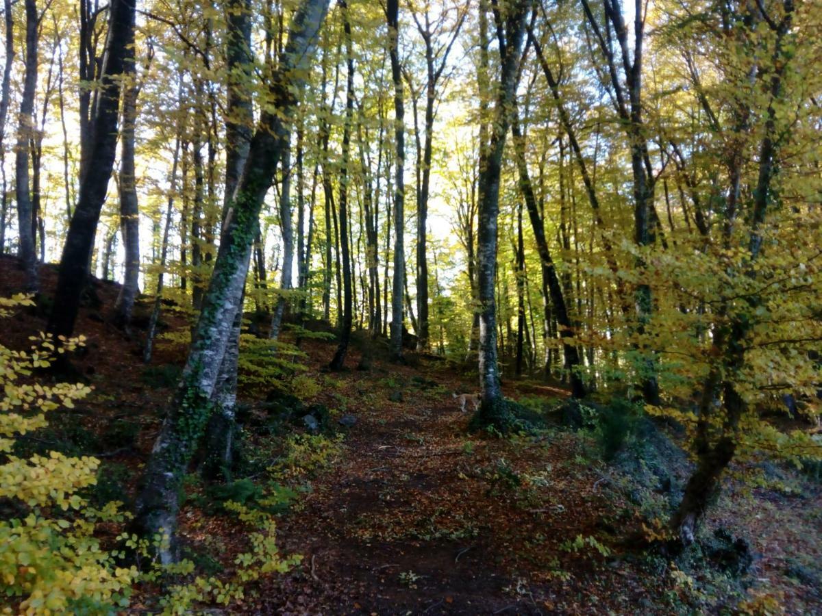 Can Pedragos Sales de Llierca Zewnętrze zdjęcie