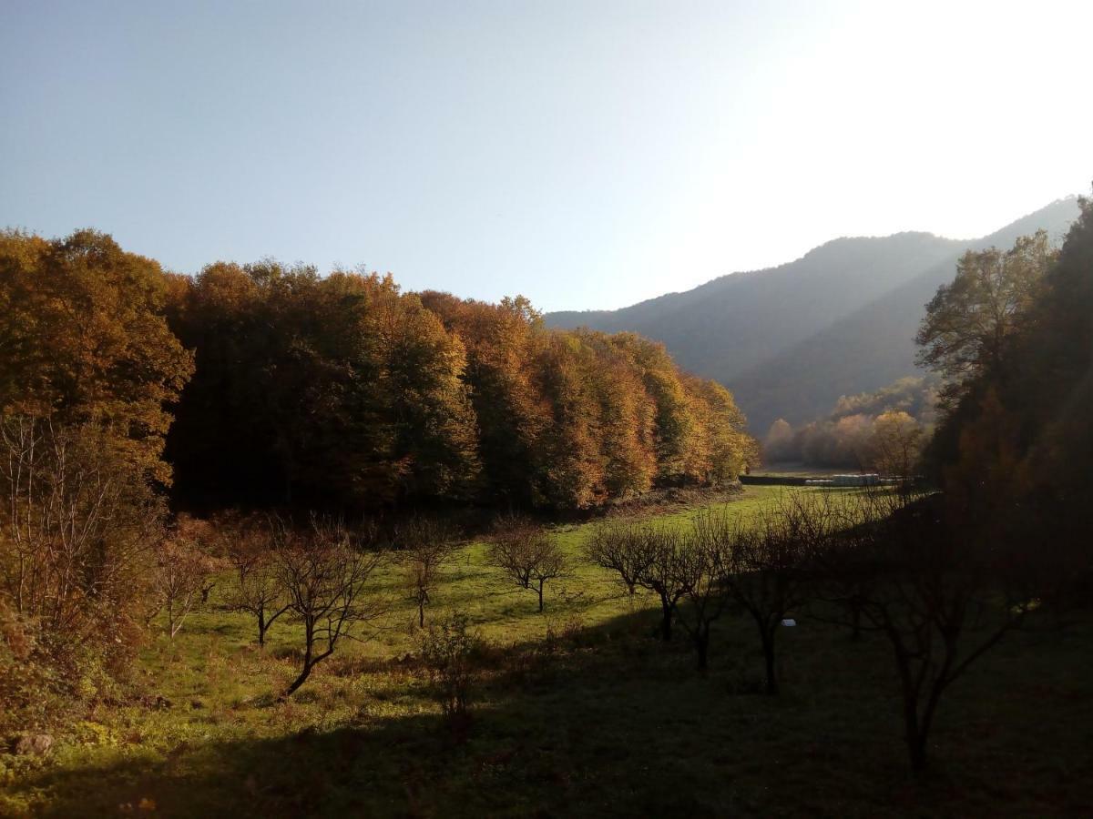 Can Pedragos Sales de Llierca Zewnętrze zdjęcie